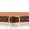 Replica Louis Vuitton Mini 25MM Belt Monogram Canvas M9584W 2