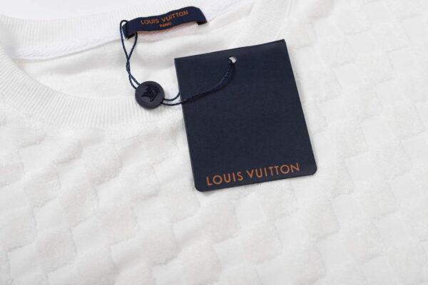 Replica LV 1AAU5B Louis Vuitton New Towel Embroidery Men Women's T-shirt L56218 6