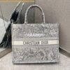 Replica Dior Book Tote bag in Latte and Black Zodiac Embroidery 2