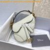 Replica Dior Micro Saddle Bag Rose Des Vents Goatskin S5662 2