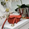 Replica Dior Micro Saddle Bag with Strap Pink Goatskin S5685 2