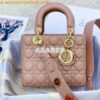 Replica My Lady Dior Bag Lambskin with Customisable Shoulder Strap Gre