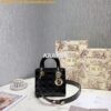 Replica My Lady Dior Bag Lambskin with Customisable Shoulder Strap Ros