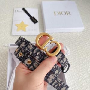 Replica Dior Saddle 20MM Belt In Blue Dior Oblique Jacquard 2