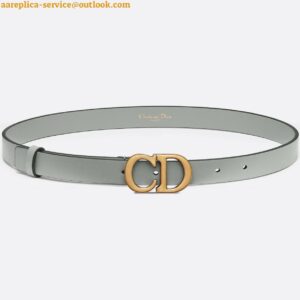 Replica Dior Saddle 20MM Belt In Grey Calfskin 2