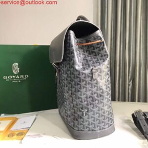 Replica Goyard ALPIN2MMLTY Alpin MM Backpack Gray 2