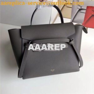 Replica Celine Belt Bag In dark Grey Grained Calfskin 2 sizes 2