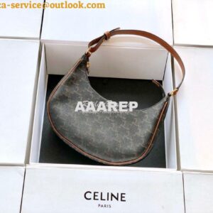 Replica Celine Ava Bag In Triomphe Canvas 193952 Tan