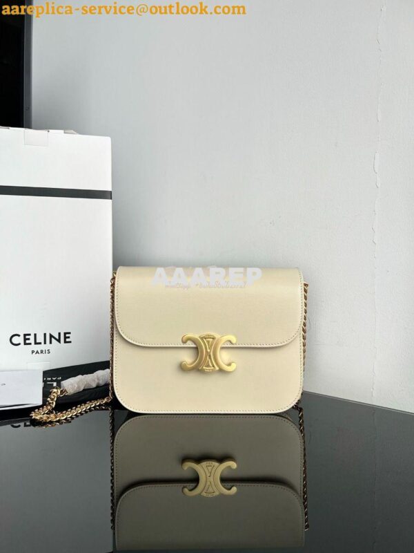 Replica Celine Medium College Bag In Shiny Calfskin 113583 Pampa 3