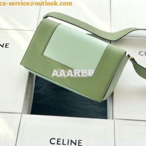 Replica Celine Medium Frame Bag in green/mint Shiny Smooth Calfskin 18