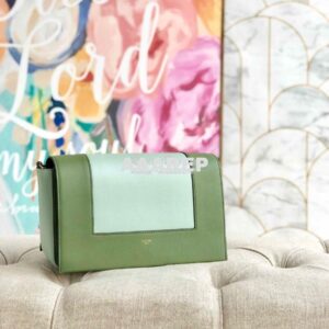 Replica Celine Medium Frame Bag in green/mint Shiny Smooth Calfskin 18 2