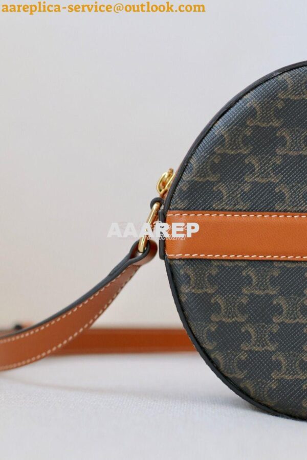 Replica Celine Round Purse On Strap In Triomphe Canvas And Lambskin 10 8