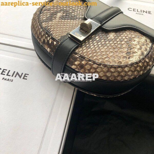 Replica Celine Small Besace 16 Bag in Python And Calfskin 188013 6