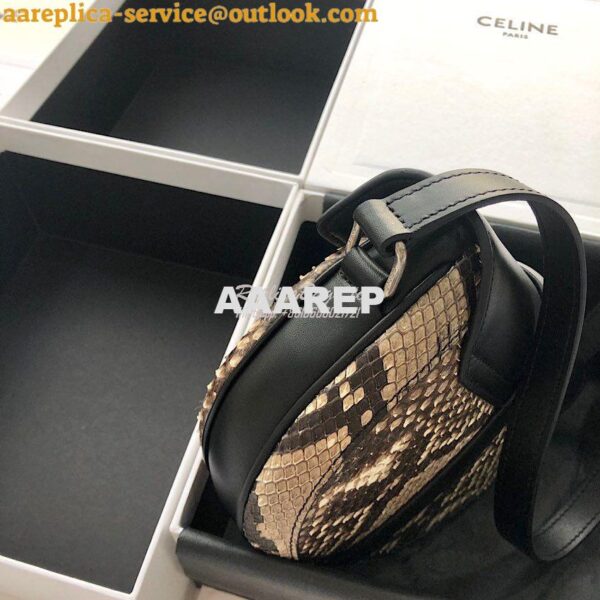 Replica Celine Small Besace 16 Bag in Python And Calfskin 188013 7