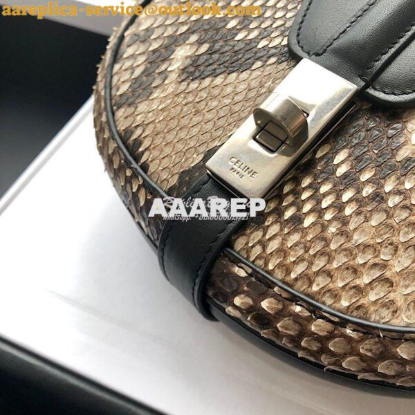 Replica Celine Small Besace 16 Bag in Python And Calfskin 188013 9