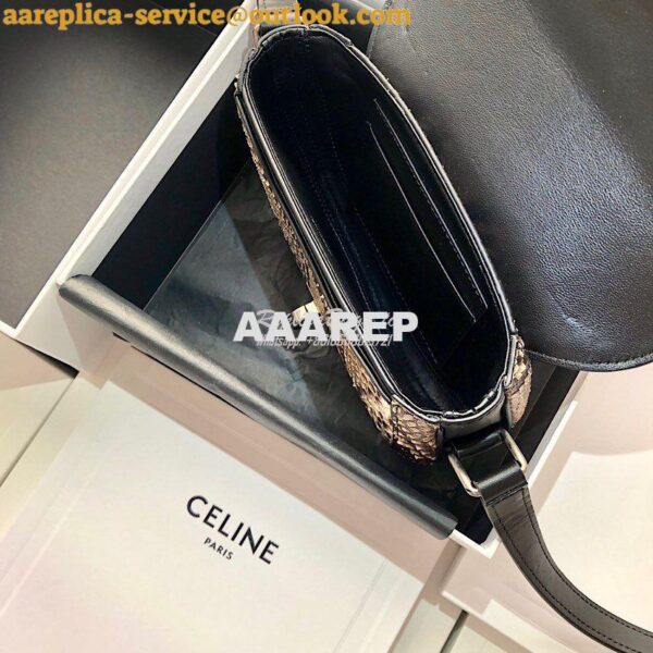 Replica Celine Small Besace 16 Bag in Python And Calfskin 188013 11