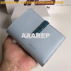 Replica Celine Strap medium/large multifunction wallet in light blue g