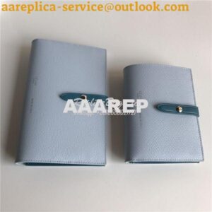 Replica Celine Strap medium/large multifunction wallet in light blue g 2