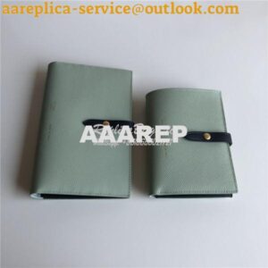 Replica Celine Strap medium/large multifunction wallet in light green 2