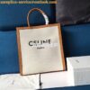 Replica Celine Triomphe Shoulder Bag In Triomphe Canvas And Calfskin 1