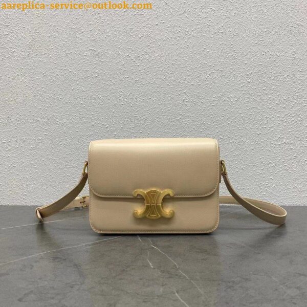 Replica Celine Triomphe Teen Bag In Nude Leather 16