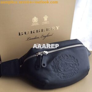 Replica Burberry Medium Embossed Crest Leather Bum Bag 2