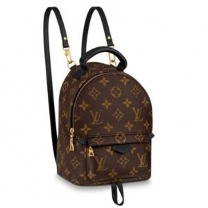 Replica Louis Vuitton Mini Palm Springs Backpack M44873 BLV008