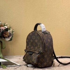 Replica Louis Vuitton Mini Palm Springs Backpack M44873 BLV008 2