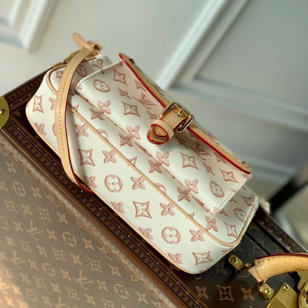 Replica Louis Vuitton Maxi Multi Pochette Accessoires LV M20920 6